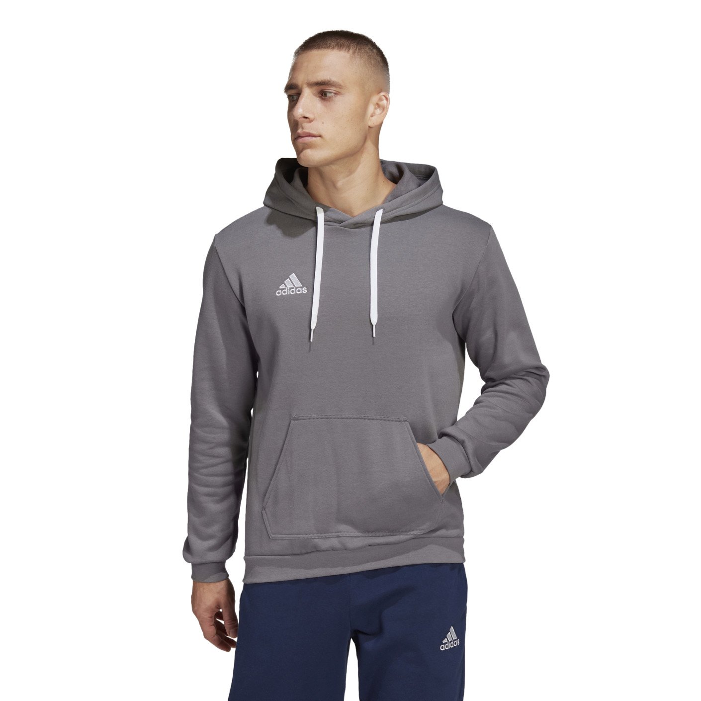 adidas Entrada 22 Sweat Hoodie Trainingspak Grijs Wit
